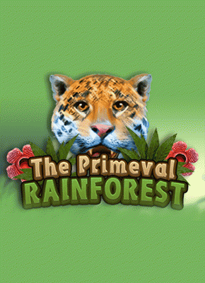 Primeval Rainforest