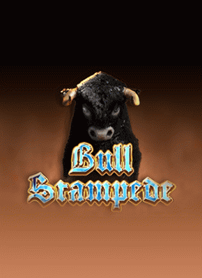 Bull Stampede